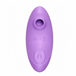 Vista 4